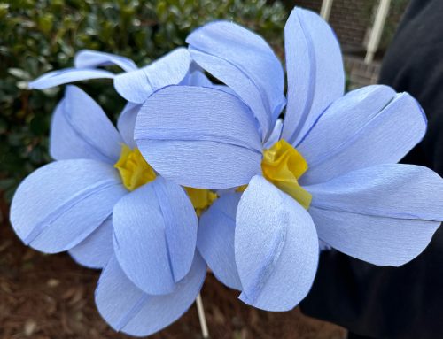 Artist Jordan Bolland hosts Corks & Canvas “Paper Flowers” Workshop • Thur, March 19