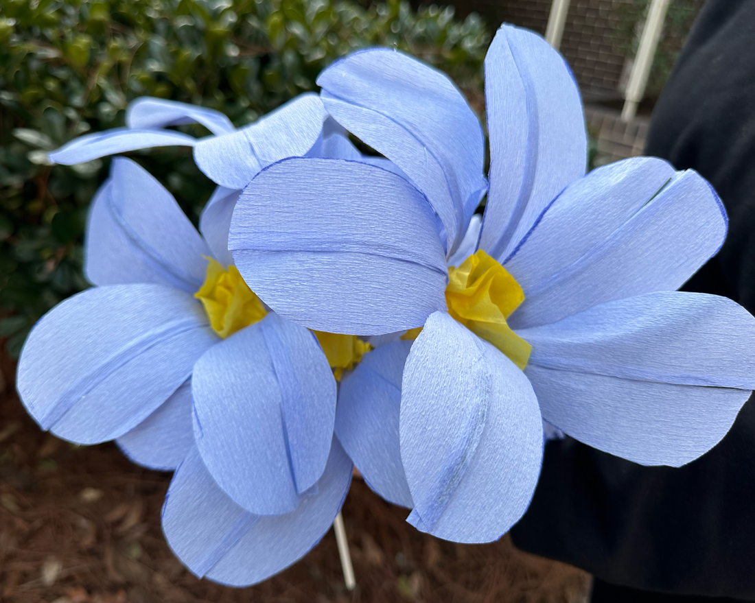 Jordan-Boland-paper-flowers